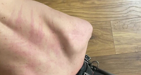 Lady Dark Angel I Will Add These Clips For You From My Session With My Owned Boy X Puppy Is Shy Oubliettefilms