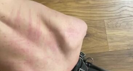 Ladydarkangeluk Onlyfans I Will Add These Clips For You From My Session With My Owned Boy X Puppy Is Shy Oubliettefilms